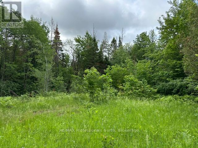 1164 RAVINE ROAD, Minden Hills, Ontario