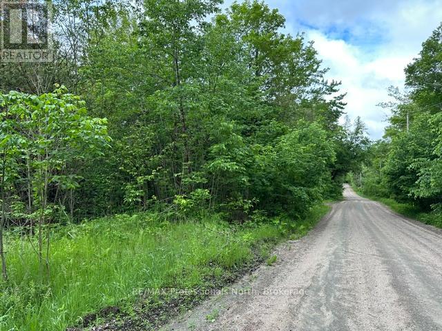 1164 Ravine Road, Minden Hills, Ontario K0M 2K0 - Photo 10 - X13447834