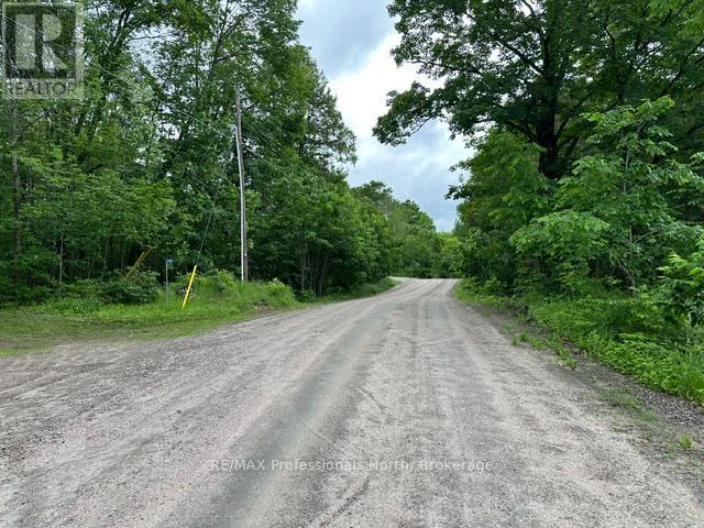 1164 Ravine Road, Minden Hills, Ontario K0M 2K0 - Photo 11 - X13447834
