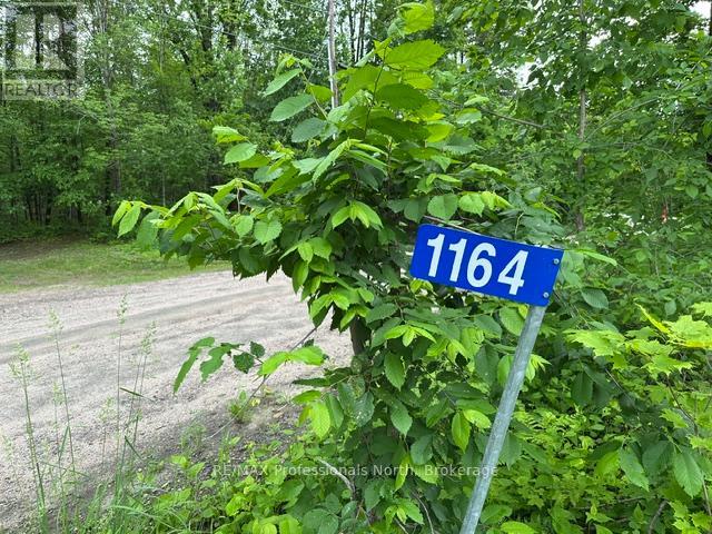 1164 Ravine Road, Minden Hills, Ontario K0M 2K0 - Photo 12 - X13447834