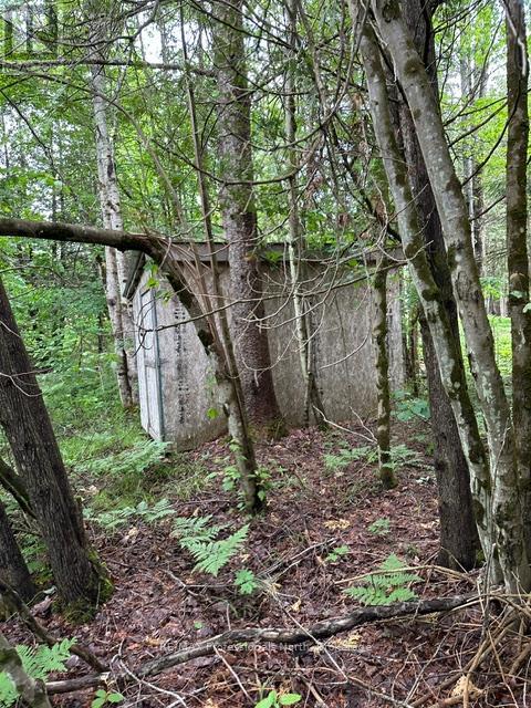 1164 Ravine Road, Minden Hills, Ontario K0M 2K0 - Photo 19 - X13447834