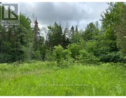 1164 RAVINE ROAD, Minden Hills, Ontario