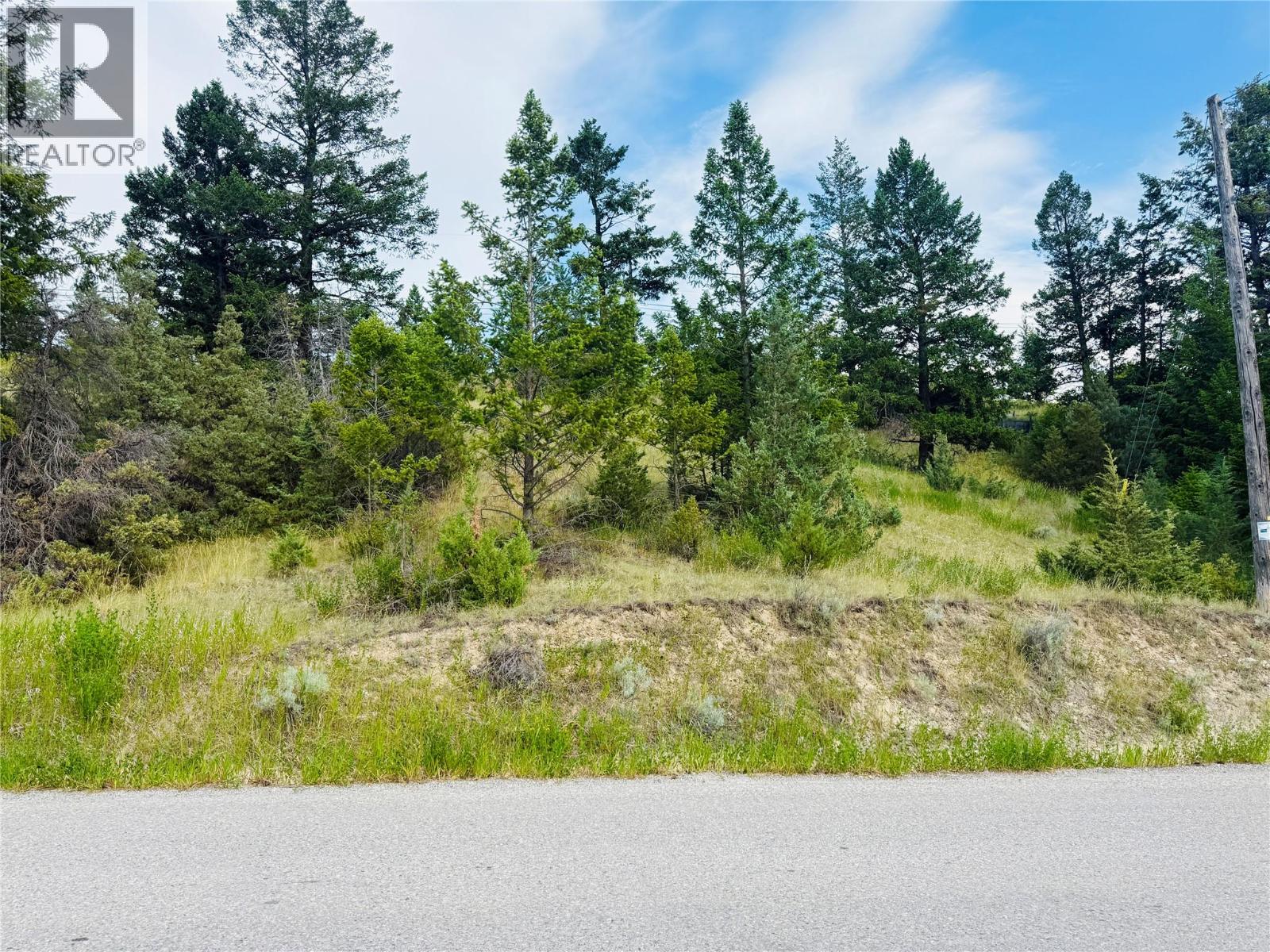 Lot 57 Upper Lakeview Road, Windermere, British Columbia  V0B 1L0 - Photo 6 - 10351808