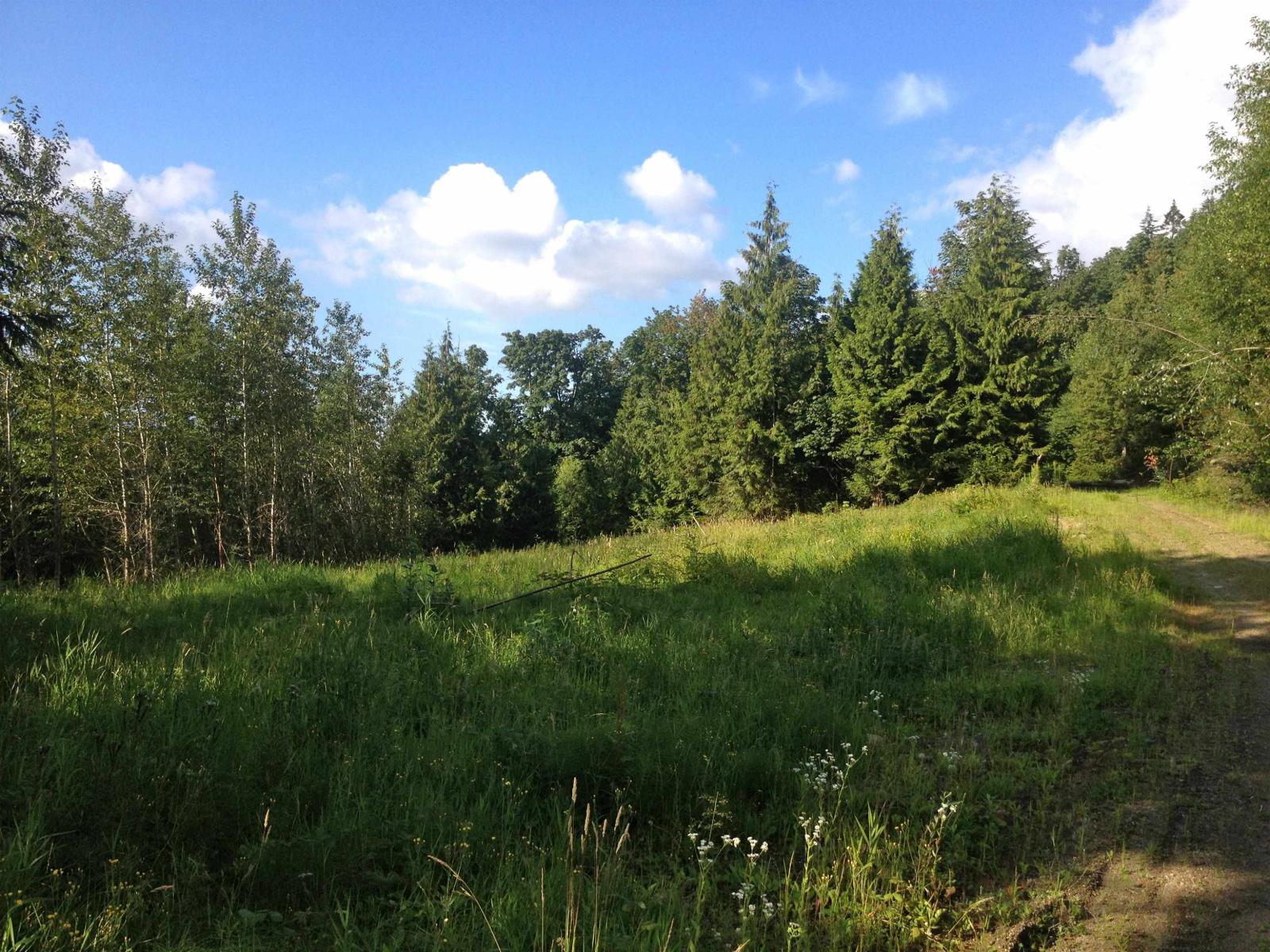41320 Old Yale Road, Abbotsford, British Columbia  V3G 2S9 - Photo 4 - R3135771