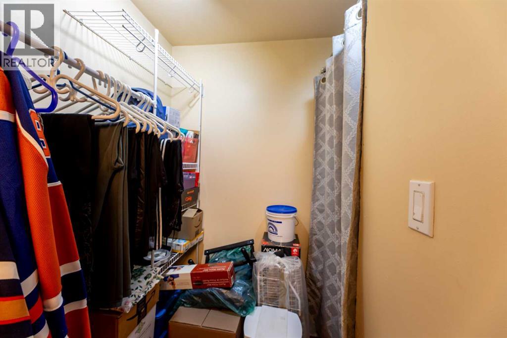 114 Poboktan Road, Hinton, Alberta  T7V 1G6 - Photo 22 - A2321198