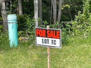 Lot 51 Mapleside Drive, Wasaga Beach, Ontario L9Z 2Z4 - Photo 7 - S13440088