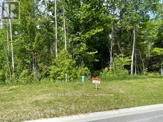 Lot 51 Mapleside Drive, Wasaga Beach, Ontario L9Z 2Z4 - Photo 6 - S13440088