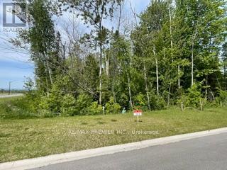 Lot 51 Mapleside Drive, Wasaga Beach, Ontario L9Z 2Z4 - Photo 4 - S13440088