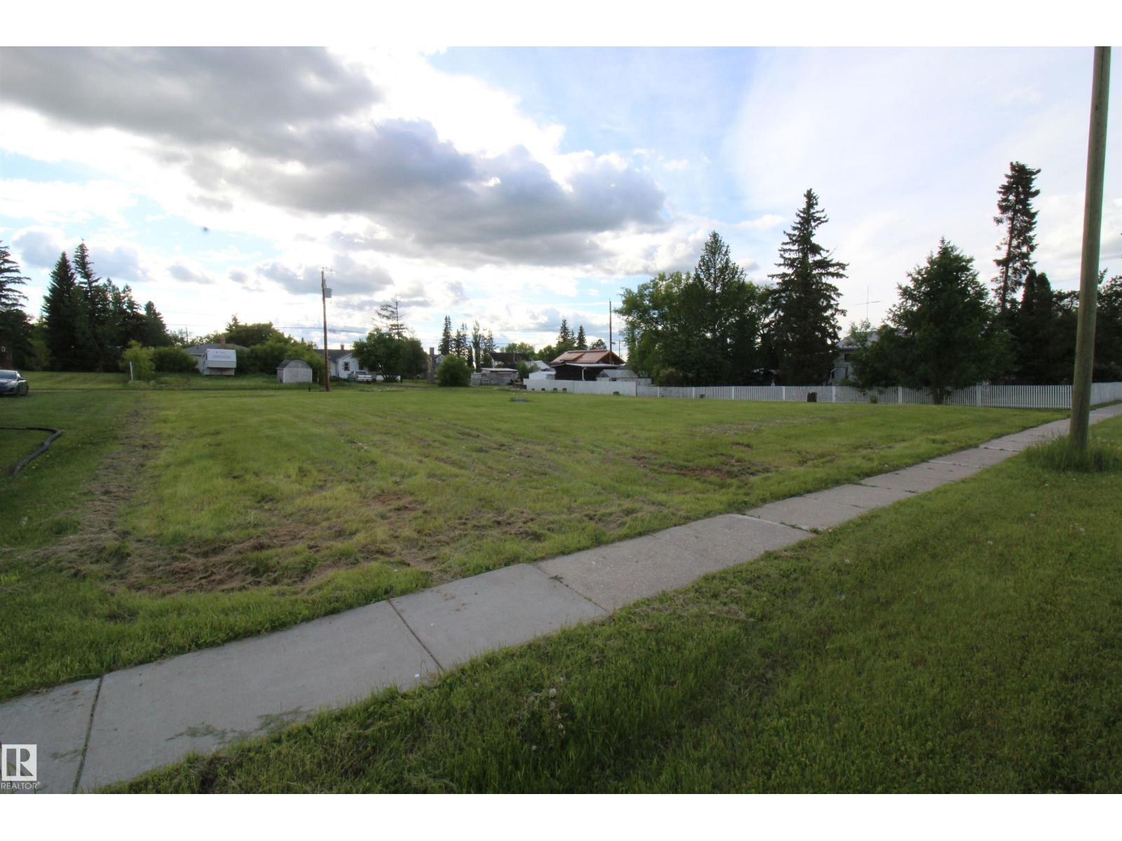 4718 52 St, Mayerthorpe, Alberta  T0E 1N0 - Photo 8 - E4493819