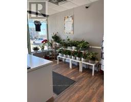 6 - 139 GEORGE STREET N, Peterborough, Ontario