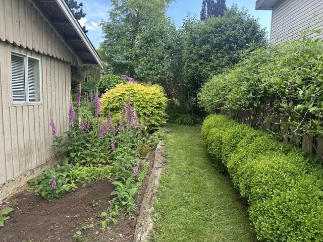 13130 110 Avenue, Surrey, British Columbia  V3T 2P9 - Photo 5 - R3134190