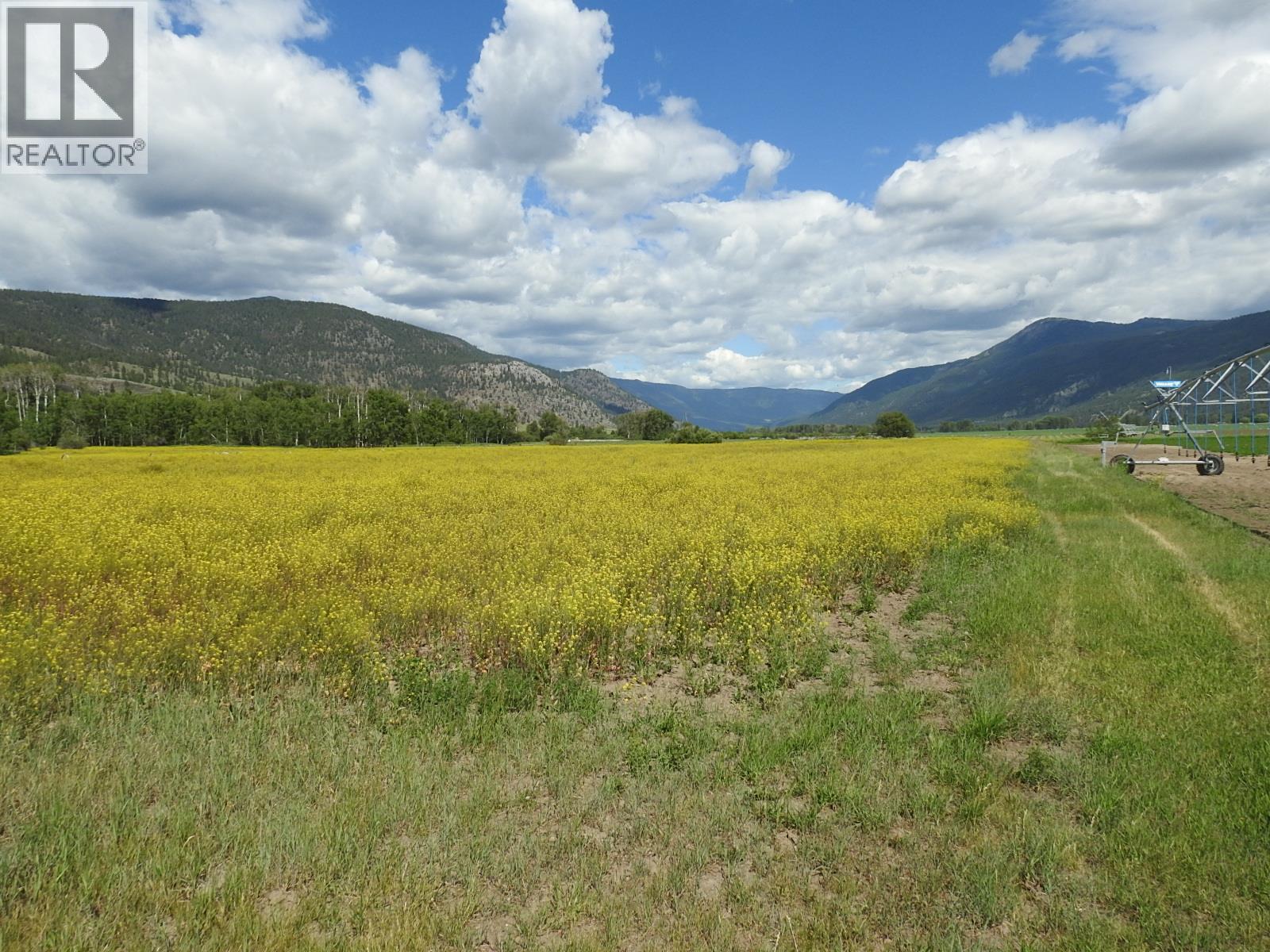 5569 Kamloops-Vernon Highway, Westwold, British Columbia  V0E 3B1 - Photo 38 - 10391483