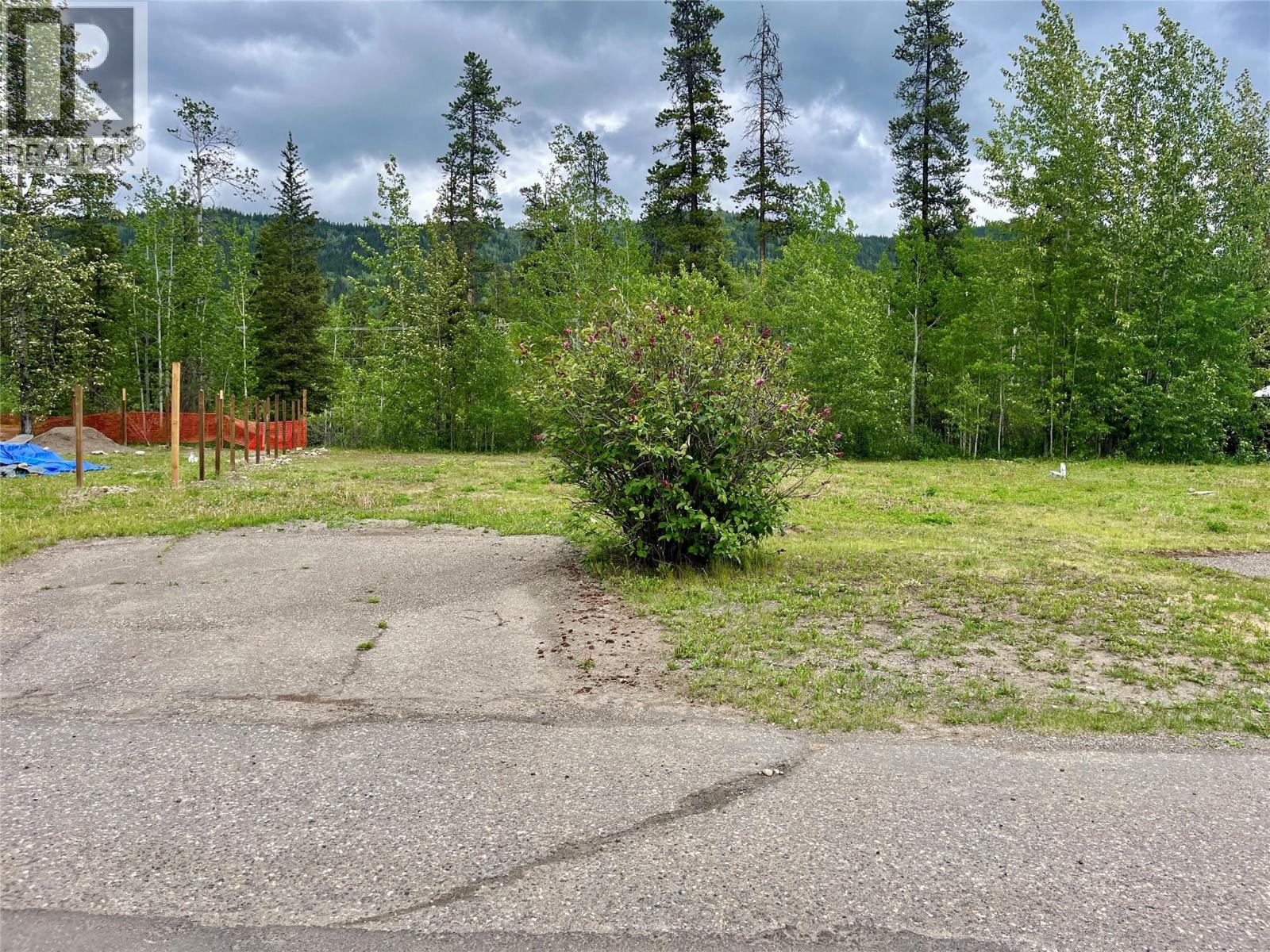 221 Steeprock Close, Tumbler Ridge, British Columbia  V0C 2W0 - Photo 1 - 10381688