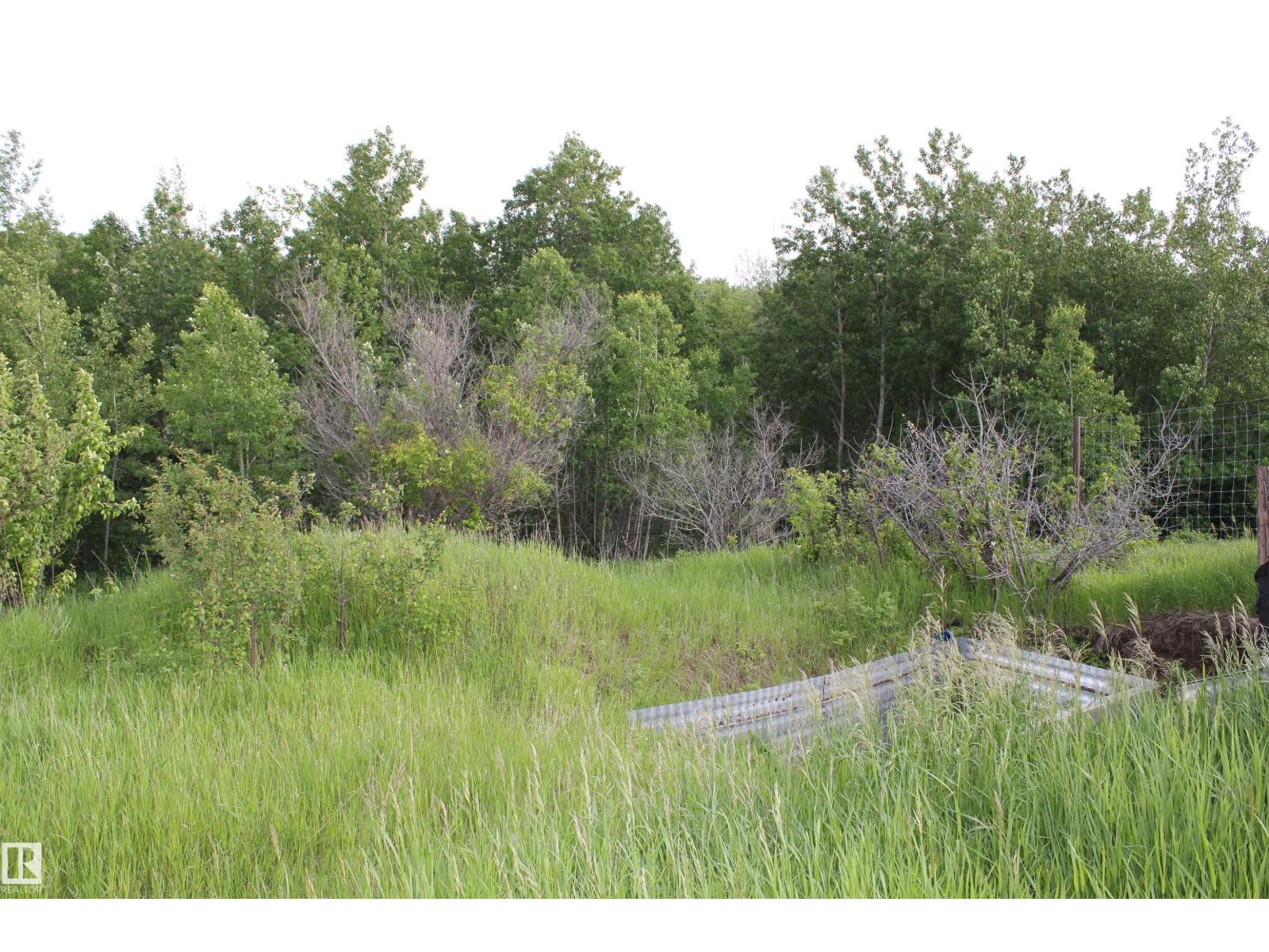 55419 Rr73, Rural St. Paul County, Alberta  T0A 1A0 - Photo 66 - E4493834