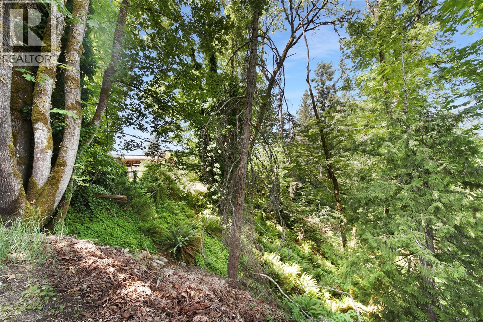 4313 Alderwood Dr, Port Alberni, British Columbia  V9Y 4B5 - Photo 48 - 1039764