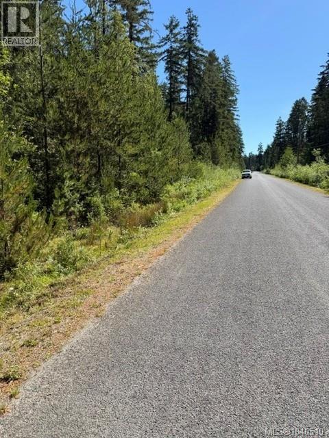 Lot 3 Palmer Rd, Errington, British Columbia
