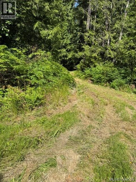 Lot 3 Palmer Rd, Errington, British Columbia  V0R 1M0 - Photo 4 - 1040510