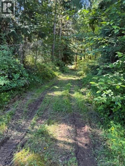 Lot 3 Palmer Rd, Errington, British Columbia  V0R 1M0 - Photo 5 - 1040510