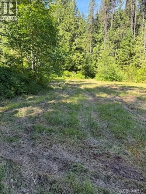 Lot 3 Palmer Rd, Errington, British Columbia  V0R 1M0 - Photo 6 - 1040510