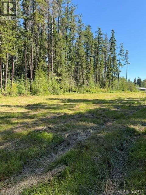 Lot 3 Palmer Rd, Errington, British Columbia  V0R 1M0 - Photo 7 - 1040510