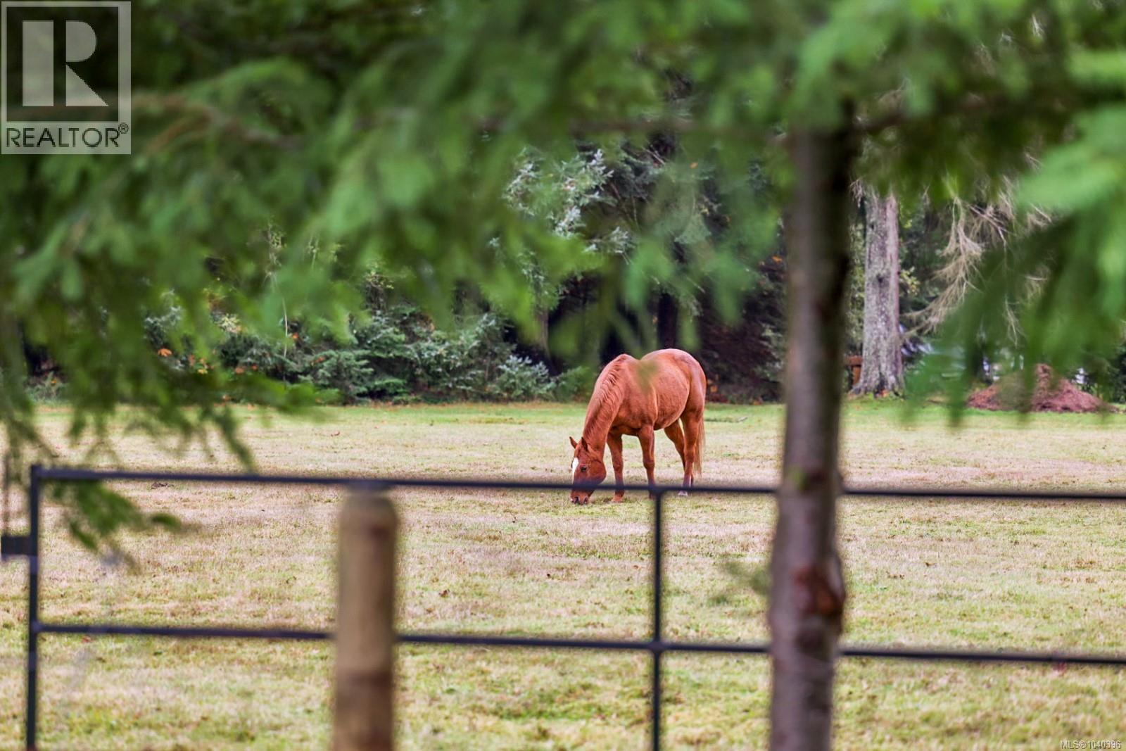 10 48 Mcphedran Rd S, Campbell River, British Columbia  V9W 3C6 - Photo 5 - 1040396