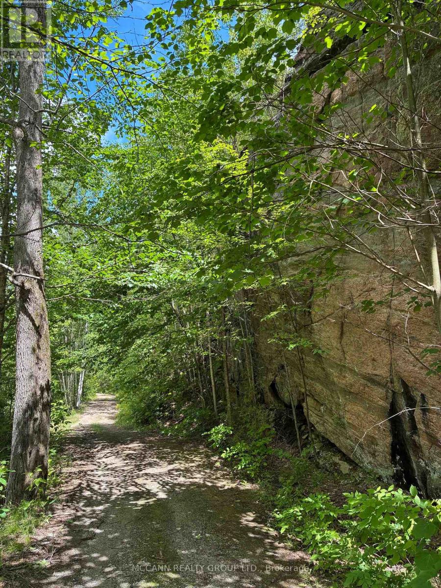 0 Starlight Road, Minden Hills, Ontario K0M 2K0 - Photo 7 - X13438376