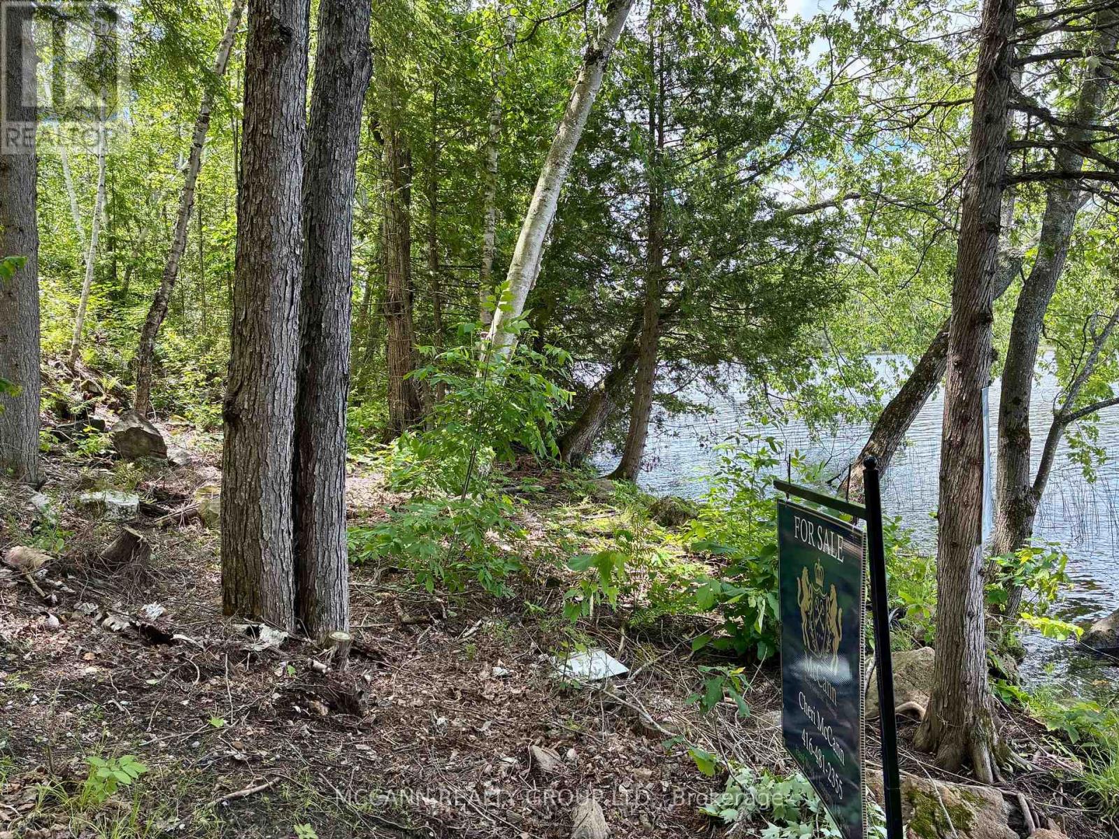 0 Starlight Road, Minden Hills, Ontario K0M 2K0 - Photo 10 - X13438376