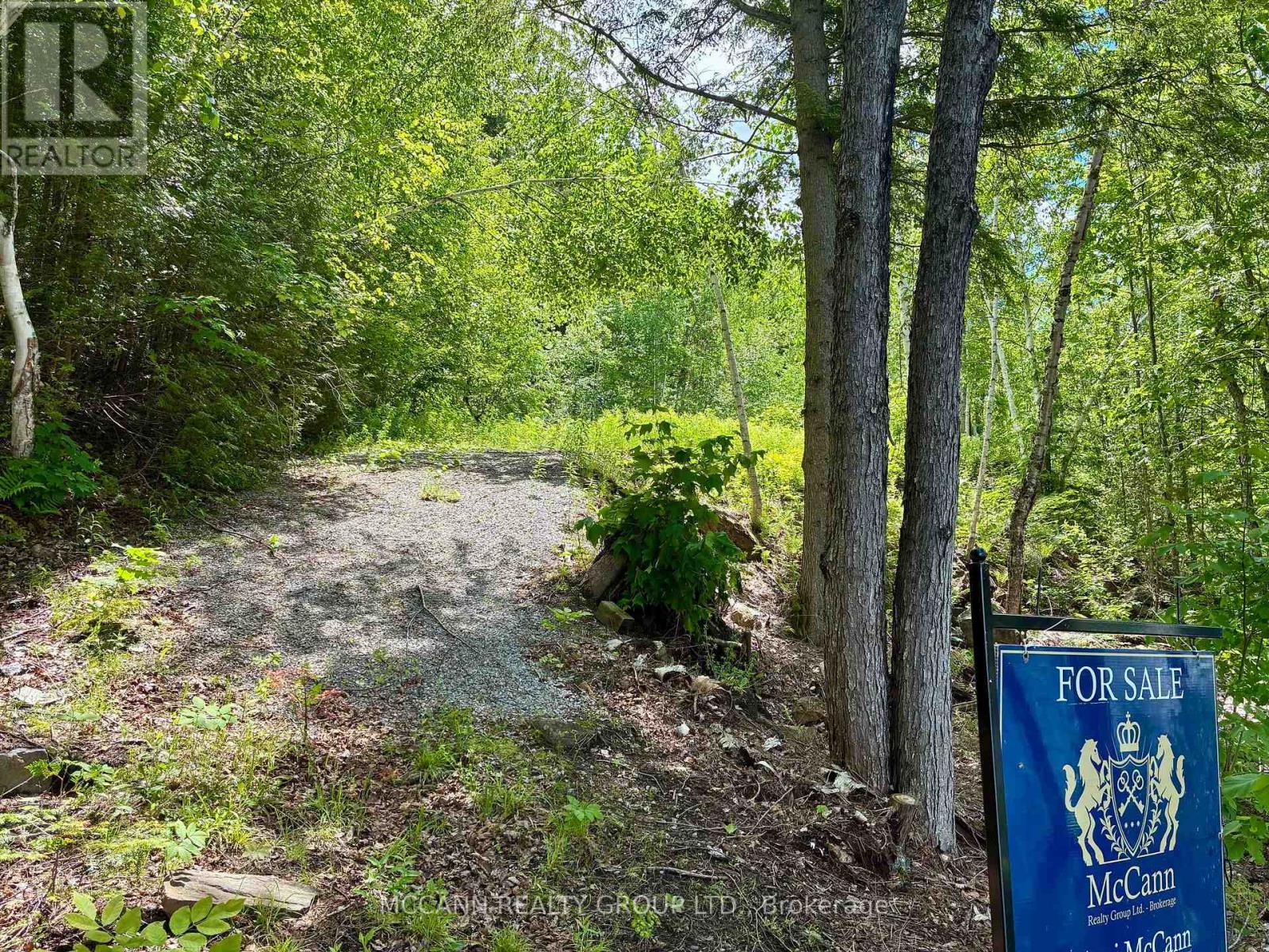 0 Starlight Road, Minden Hills, Ontario K0M 2K0 - Photo 12 - X13438376