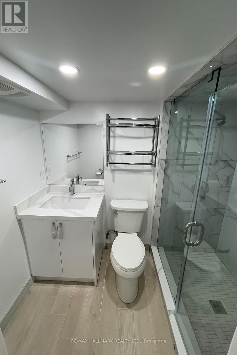 Lower - 61 Cecil Street, Toronto, Ontario M5T 1N5 - Photo 10 - C13448500