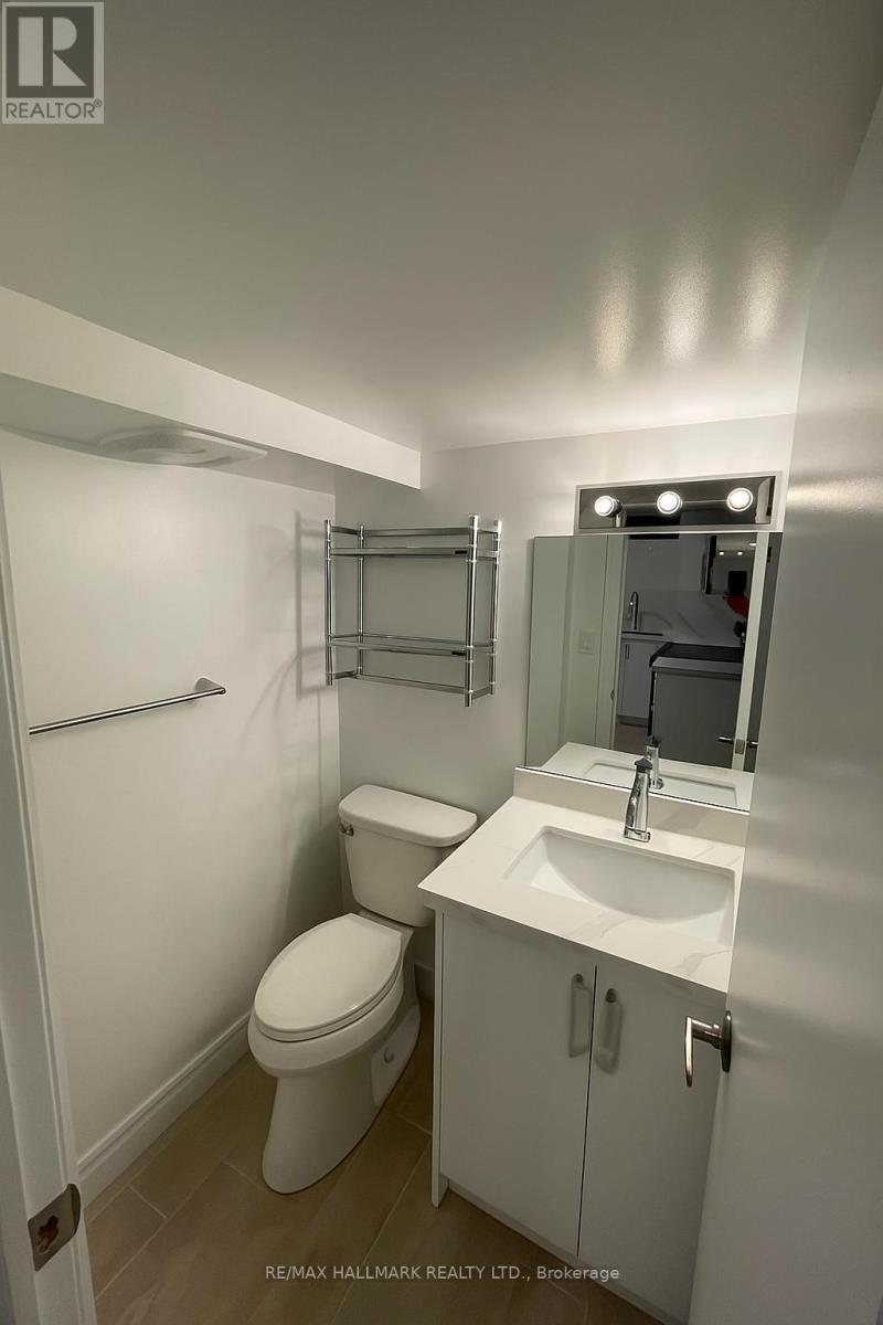 Lower - 61 Cecil Street, Toronto, Ontario M5T 1N5 - Photo 11 - C13448500