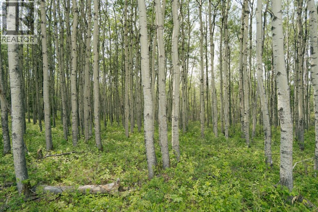 Lot 3, Range Road 84 Township Road 722, Wembley, Alberta  T0H 2J0 - Photo 25 - A2288606