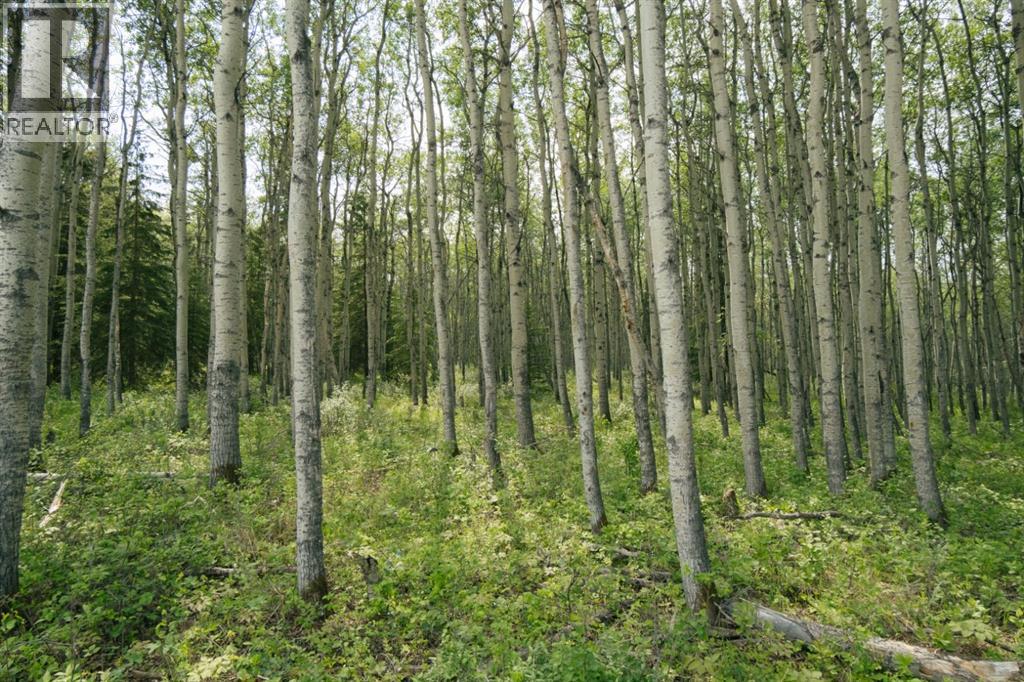 Lot 3, Range Road 84 Township Road 722, Wembley, Alberta  T0H 2J0 - Photo 1 - A2288606