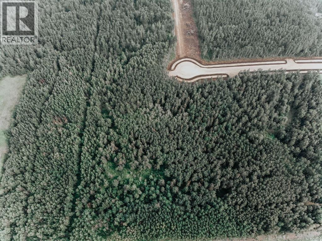 Lot 3, Range Road 84 Township Road 722, Wembley, Alberta  T0H 2J0 - Photo 18 - A2288606