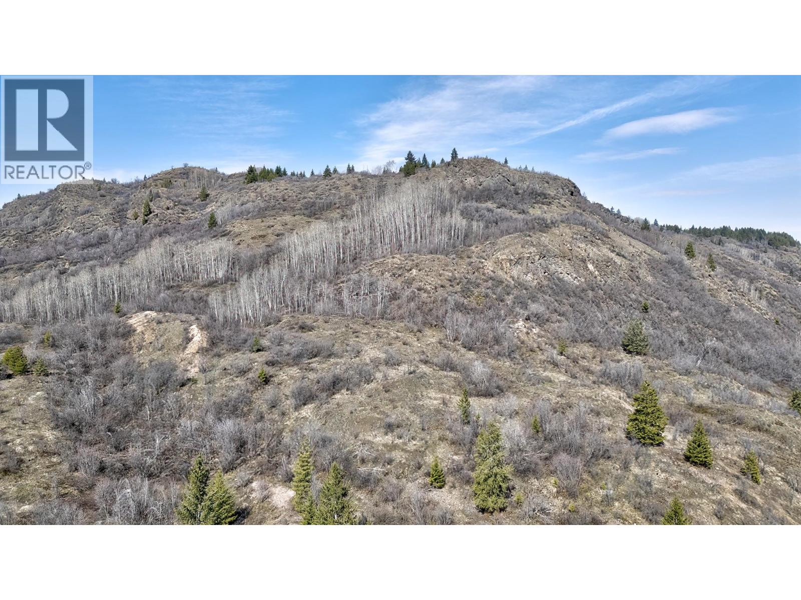 Sl 34 3b Highway, Montrose, British Columbia  V0G 1P0 - Photo 15 - 10391269