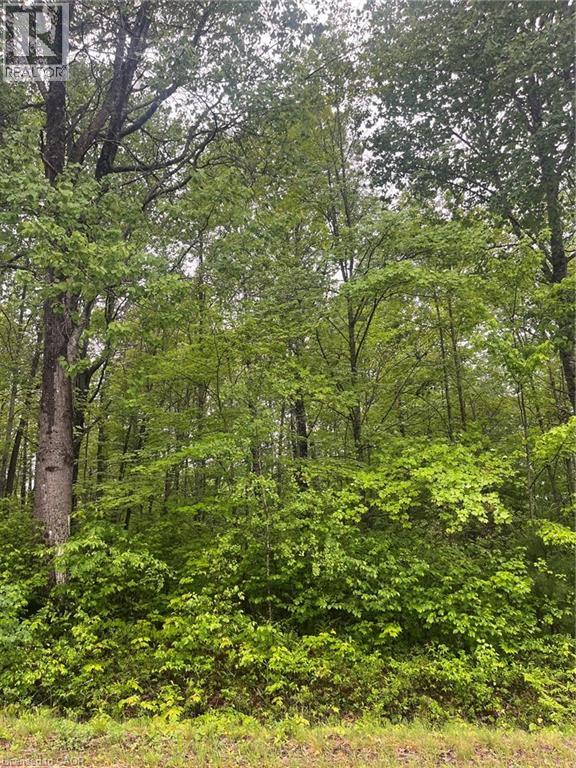 N/A BAGGS Road, Chalk River, Ontario