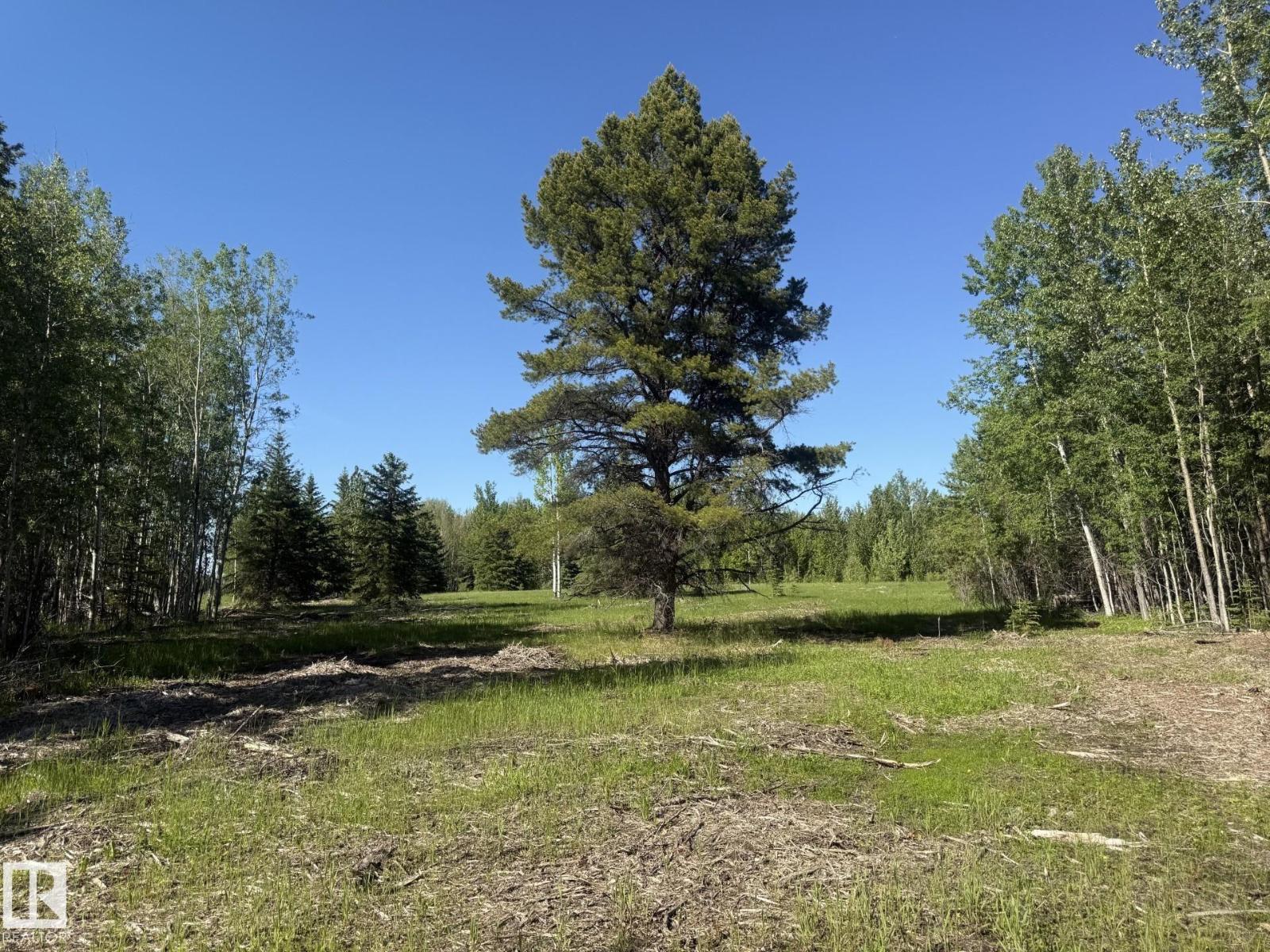 Twp 530 Rrd 83, Rural Yellowhead, Alberta  T0E 0T0 - Photo 7 - E4493577