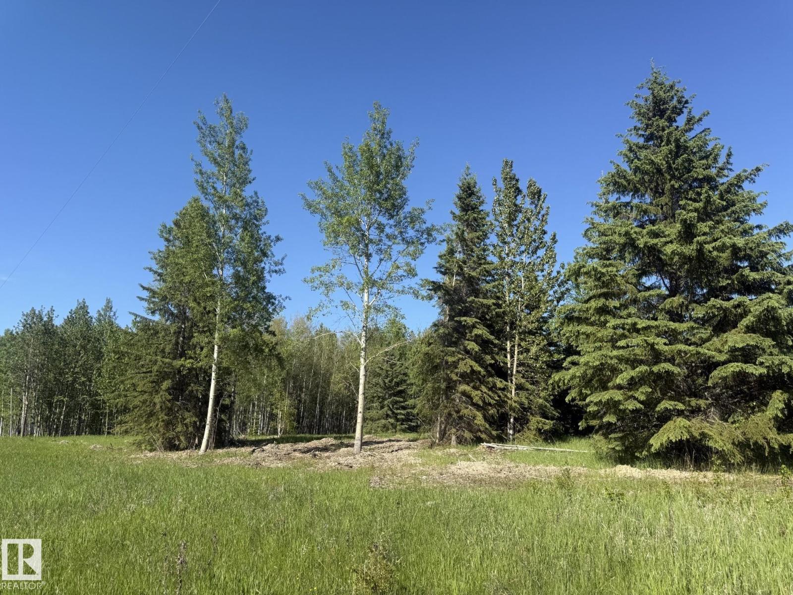 Twp 530 Rrd 83, Rural Yellowhead, Alberta  T0E 0T0 - Photo 8 - E4493577