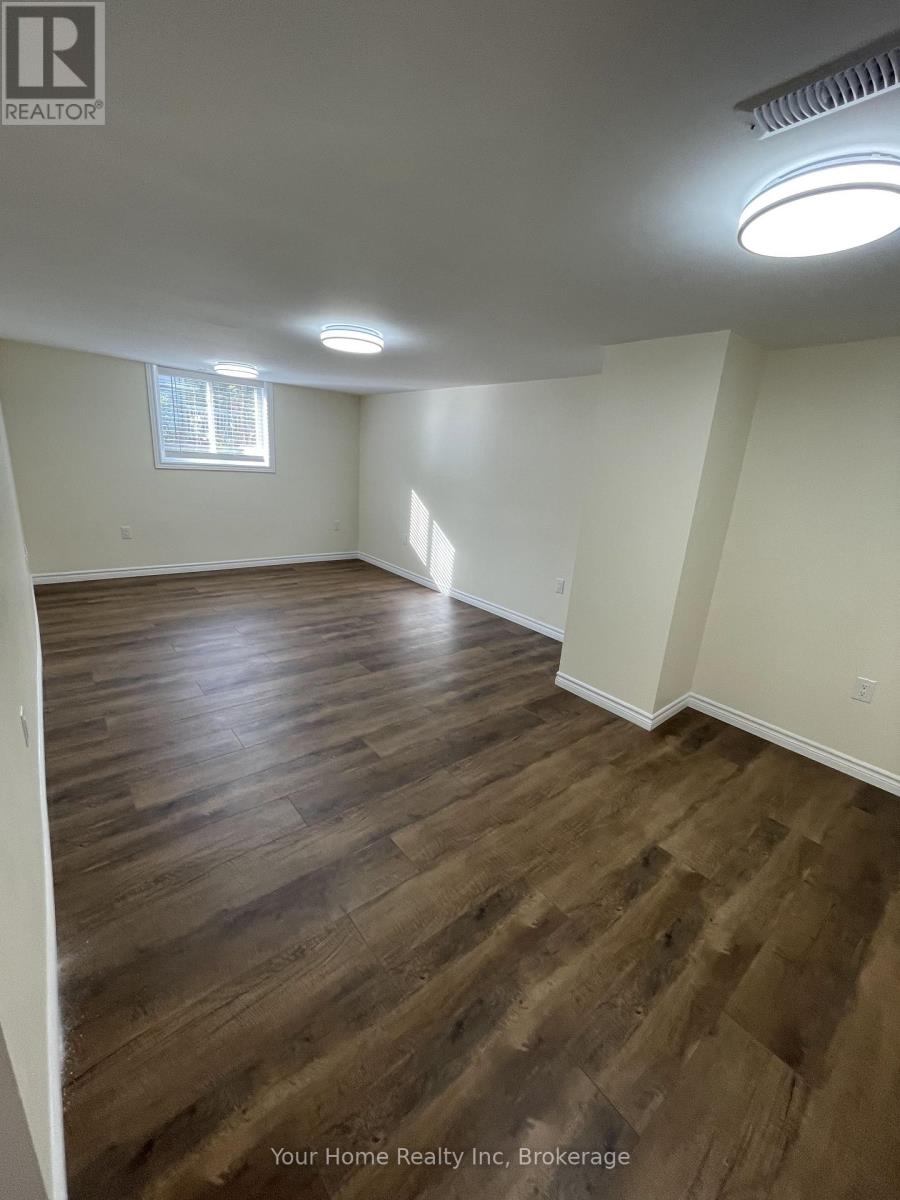 Basement - 37 Rutherford Drive E, Kitchener, Ontario  N2A 1P8 - Photo 15 - X13449044