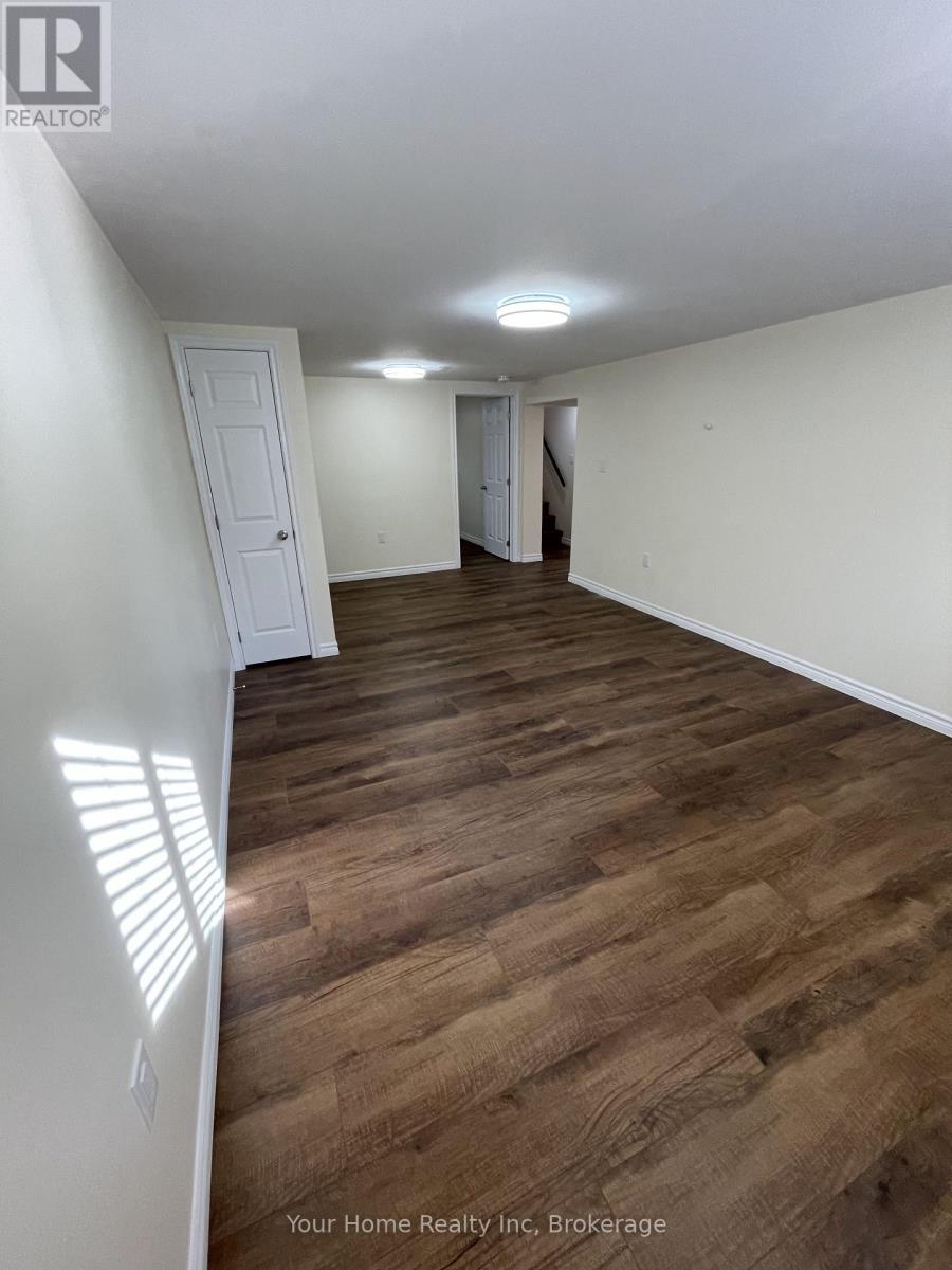 Basement - 37 Rutherford Drive E, Kitchener, Ontario  N2A 1P8 - Photo 17 - X13449044