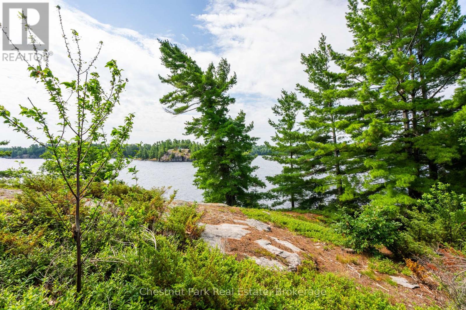 1 Helena Island, Gravenhurst, Ontario  P1P 1R1 - Photo 22 - X13449104