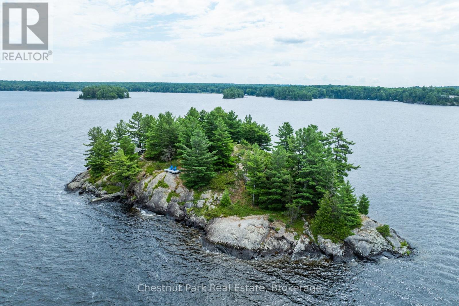 1 Helena Island, Gravenhurst, Ontario  P1P 1R1 - Photo 30 - X13449104