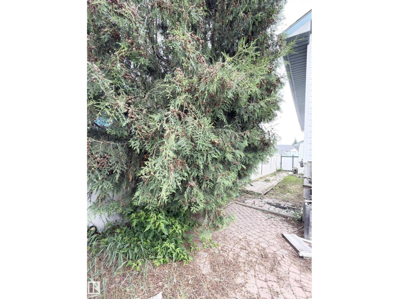 72 Aspenglen Pl, Spruce Grove, Alberta  T7X 3J9 - Photo 30 - E4493864