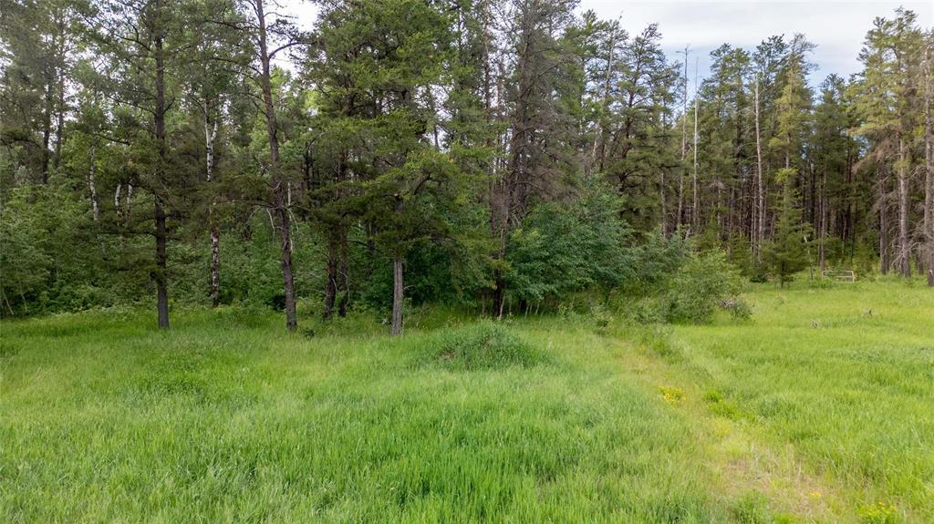 33 Sentier Deer Trail, Marchand, Manitoba  R0A 0Z0 - Photo 18 - 202614003