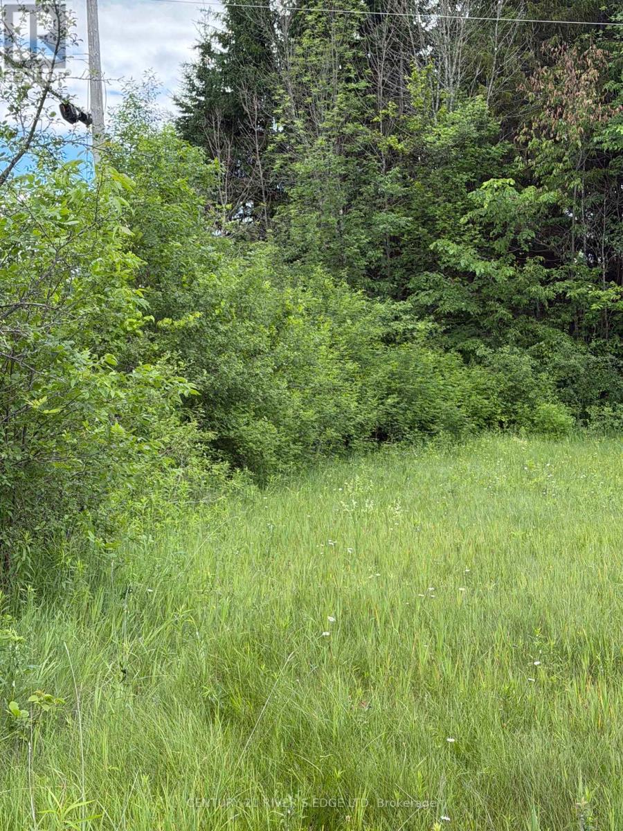 00 Branch Road, Augusta, Ontario  K0G 1R0 - Photo 8 - X13443688