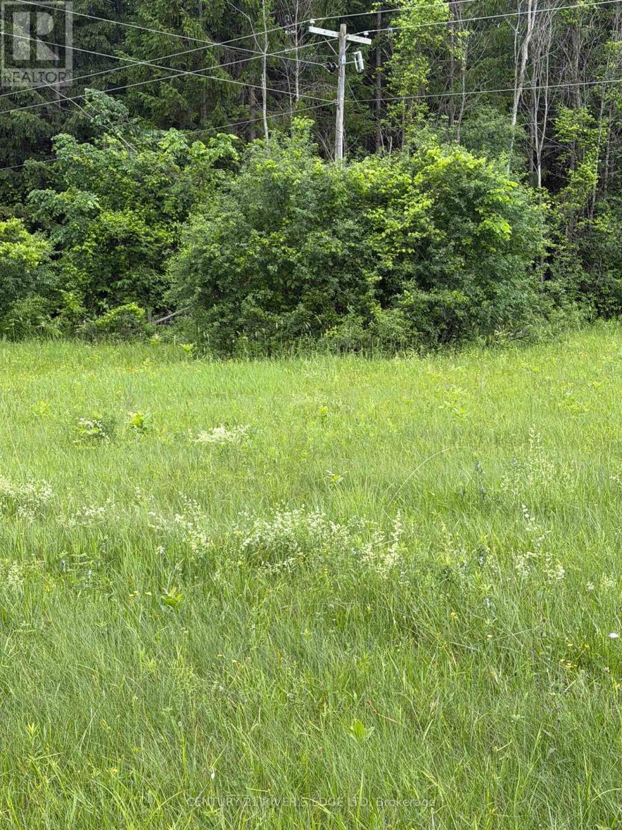 00 Branch Road, Augusta, Ontario  K0G 1R0 - Photo 9 - X13443688