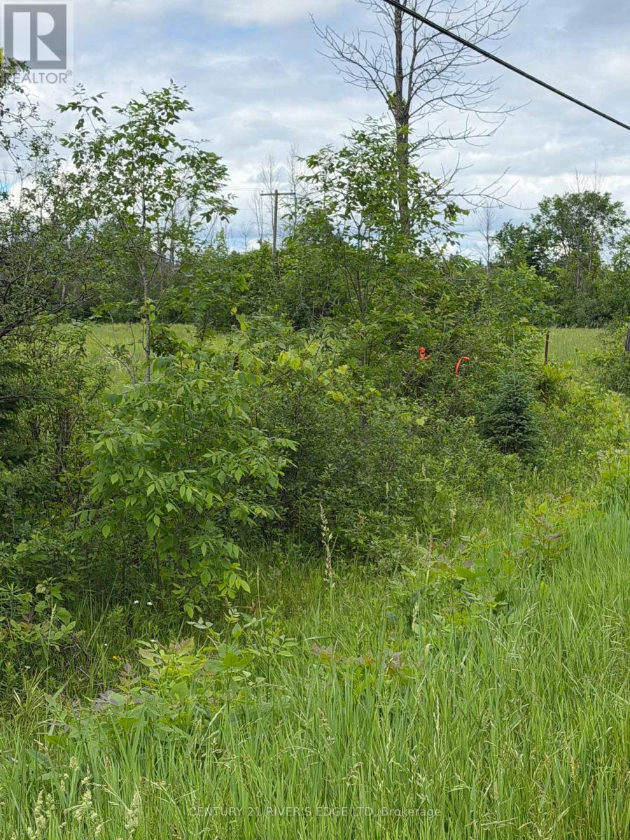 00 Branch Road, Augusta, Ontario  K0G 1R0 - Photo 6 - X13443688