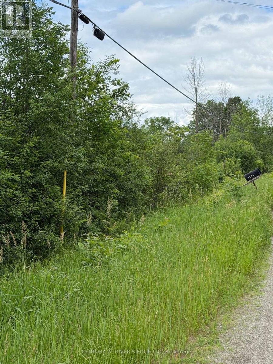 00 Branch Road, Augusta, Ontario  K0G 1R0 - Photo 4 - X13443688