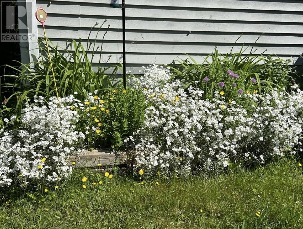 Photo 39