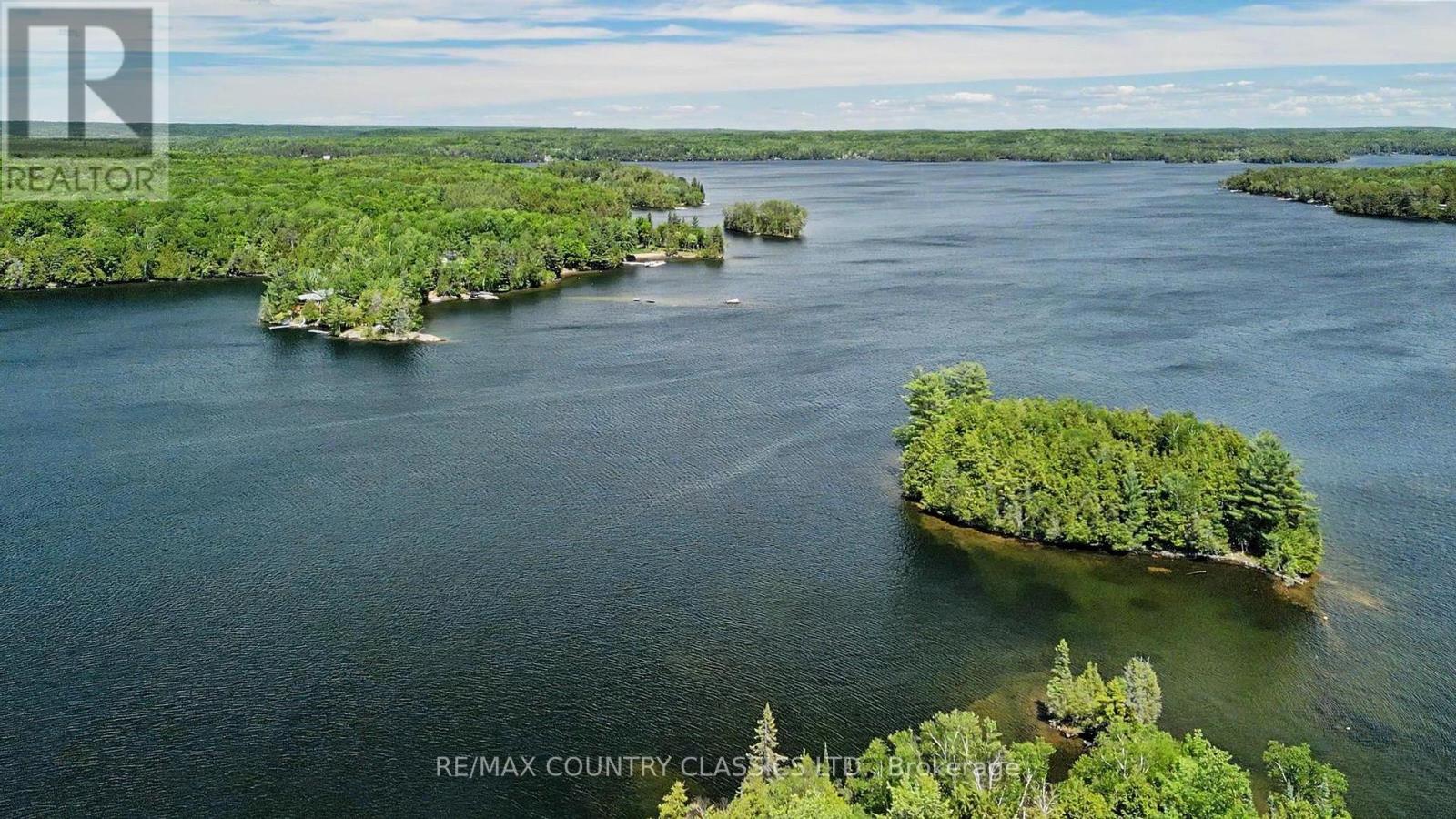 287 Doc Evans Road, North Kawartha, Ontario  K0L 1A0 - Photo 4 - X13449358