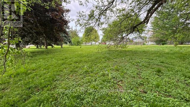 3877 Lasalle Line, Enniskillen, Ontario  N0N 1R0 - Photo 5 - X13449268